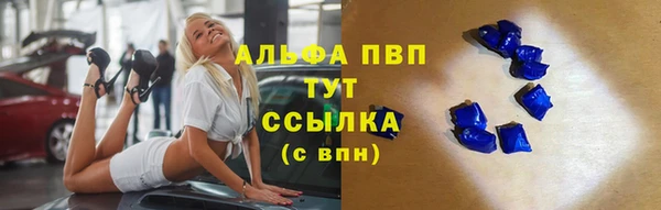 apvp Алзамай