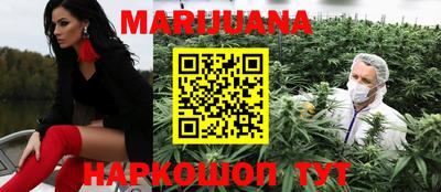 сатива Железногорск