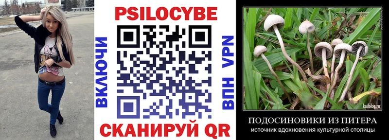 Псилоцибиновые грибы Psilocybine cubensis  Невинномысск 