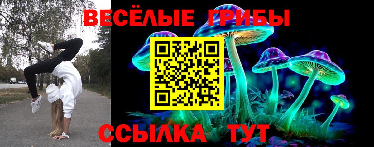 Галлюциногенные грибы ЛСД  Вход с VPN  Псилоцибиновые грибы Cubensis  Невинномысск 