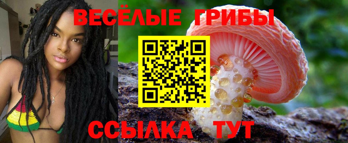 Псилоцибиновые грибы мицелий Невинномысск